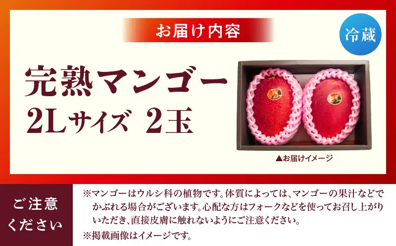 宮崎県産 完熟マンゴー 2玉 2L