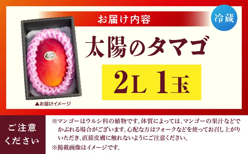 宮崎県産 太陽のタマゴ 2L×1玉_b0956_ww