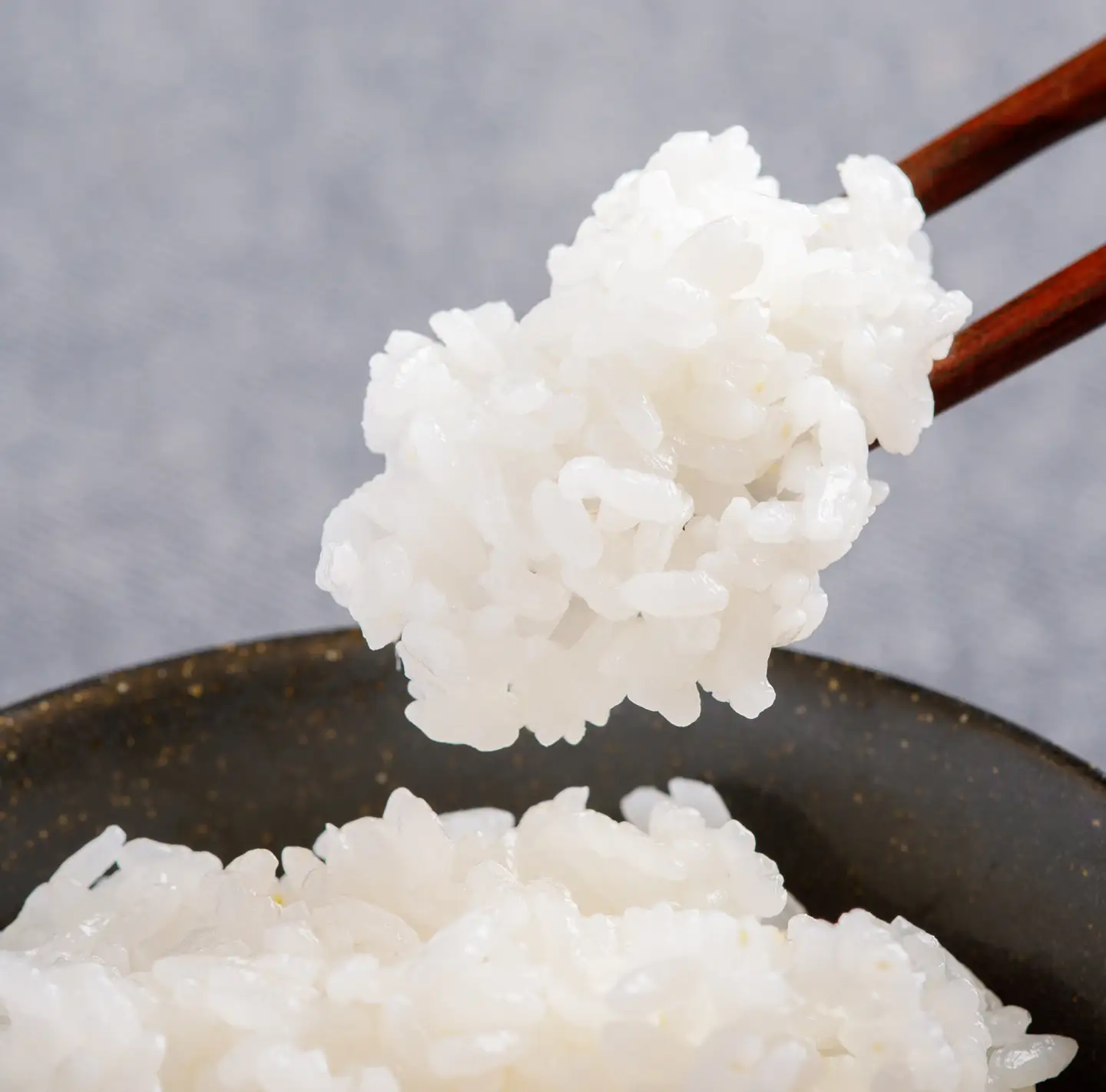 【先行予約】 令和8年産 ゆめぴりか5kg NAZ014