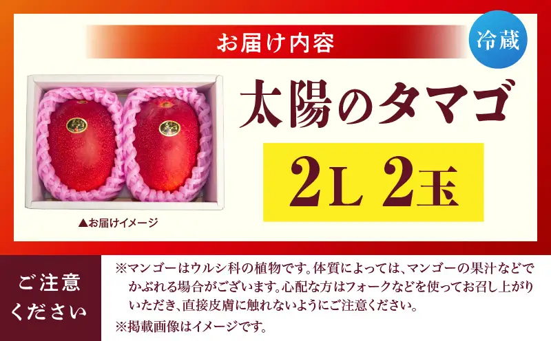 宮崎県産 太陽のタマゴ 2L×2玉