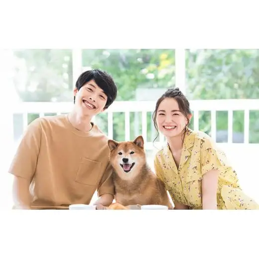 アニマルペットシータラクト 60カプセル入り×2箱【サプリメント 健康 健康食品 ペット 犬猫用 免疫 関節 腰 ビタミン 乳酸菌 三重県 四日市市 四日市 ふるさと納税】
