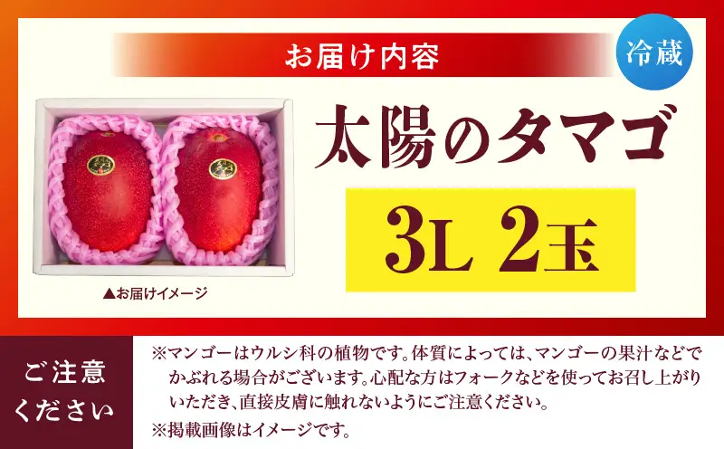宮崎県産 太陽のタマゴ 3L×2玉_b0958_ww