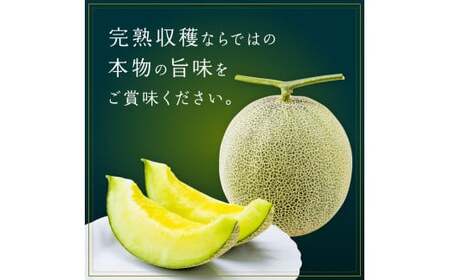 メロンの森　アールスメロン（マスクメロン）1個入り（約1.5kg～2kg）