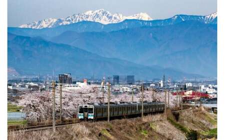 塩尻駅西マスカットベーリーA2021【塩尻みずなら樽熟成】 | ワイン マスカット・ベリー ぶどう 果実味 なめらかな酸味 塩尻駅 西口 長野県 塩尻市