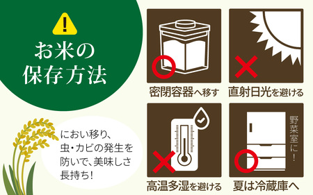 【先行予約】ミルキークイーン 5kg 【2027年1月発送】/ 令和8年産 白米 精米
