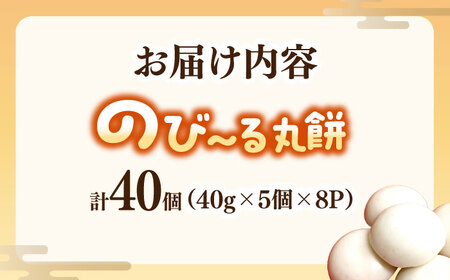 佐賀県産もち米100%自慢の杵つき丸白餅（冷凍）計40個入（40g×5個×8P） / 佐賀県 / 旬菜舎さと山 [41AABM020]