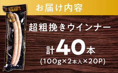 GASBO（ガスボー）計40本（100g×2本入り×20P） / 佐賀県 / 旬菜舎さと山 [41AABM037]