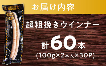 GASBO（ガスボー）計60本（100g×2本入り×30P） / 佐賀県 / 旬菜舎さと山 [41AABM038]