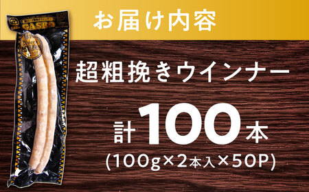 GASBO（ガスボー）計100本（100g×2本入り×50P） / 佐賀県 / 旬菜舎さと山 [41AABM039]