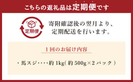 【12ヶ月定期便】馬スジ 約1kg 計約12kg 馬スジ 馬すじ 馬肉 馬 肉 すじ肉 煮込み 定期便 熊本県 西原村 冷凍