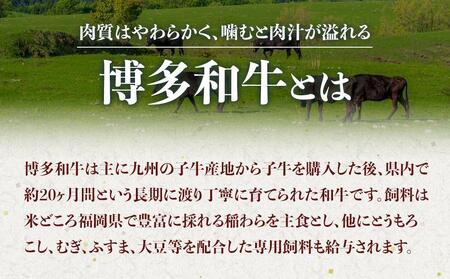【定期便全12回】博多和牛A4ランク以上焼肉用タレ漬１.1kg