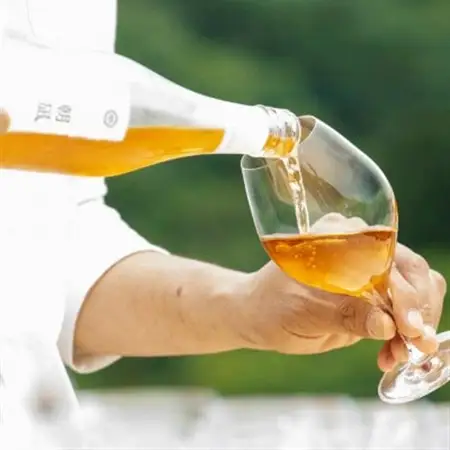 凪 -nagi- 朝凪 -asanagi- / 2本セット_飲料・ドリンク 飲料 茶 _【1614886】