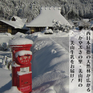 牛乳 定期便 12ヶ月 京都 美山牛乳 200ml ×10本 セット 美山町 お取り寄せ パック 紙パック 200mL 定期 お楽しみ 12回 ※北海道・沖縄・離島への発送不可 