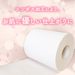 【定期便6回】「出番です」トイレットペーパー 12ロール 個包装 ストック 備蓄 防災対策 肌に優しい エンボス加工