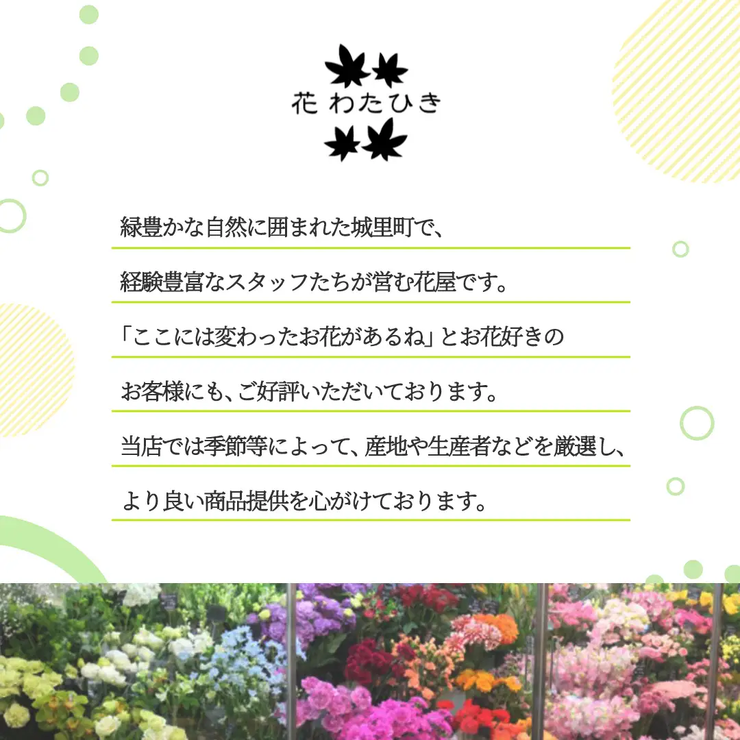 季節の寄せ植え＜花わたひき＞花 お花 季節の花 生花 記念日 誕生日 自宅用 インテリア 部屋飾り 装飾 贈答 ギフトプレゼント おしゃれ 茨城県 城里町 (BY002)