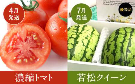 【福岡県産 特産品 年6回定期便】うまもぐ厳選 野菜果物セット 定期便 野菜 果物 詰め合わせ