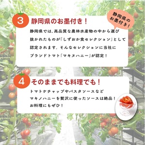 トマト 中玉 2kg 以上 マキノハニー 枝完熟 トマト トマトップ 高 リコピン うまみ 甘い 新鮮 野菜 産地直送 やさい ビタミン 静岡県 牧之原市