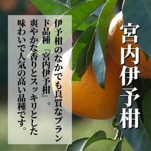  《2027年2月上旬頃から順次発送》【三種のみかん食べ比べ箱】 せとか・はるか・宮内伊予柑 （良品）2.8kg | 食べくらべ 愛媛 みかん 詰め合わせ セット 蜜柑 柑橘 果物 くだもの フルーツ お取り寄せ グルメ 期間限定 数量限定 人気 おすすめ 愛媛県 松山市 【PT0041】