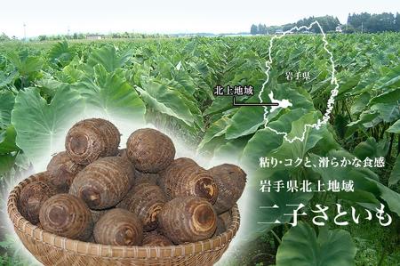 平留商店のおまかせ 野菜セット12品程度 おまかせ 岩手県産 旬の野菜 季節の野菜 葉物 果物 根菜 きのこ 春野菜 夏野菜 秋野菜 冬野菜 新鮮 物価高騰 家庭 応援 北上市 平留商店 フレッシュフィールド青果ひらの C0109