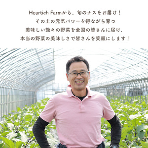 野菜ソムリエサミット金賞「ごほう美ナス」 約1kg