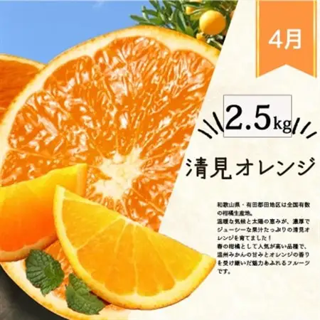 【発送月固定定期便】紀州和歌山産旬の柑橘セット(みかん・不知火・せとか・清見)全4回【4066651】