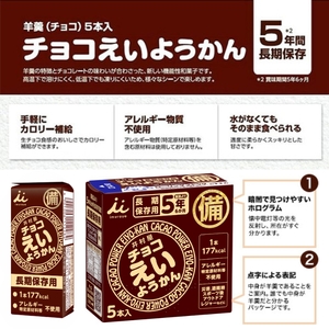 井村屋 チョコえいようかん 非常食 1セット(20本) ようかん 羊羹 長期保存 防災 備蓄