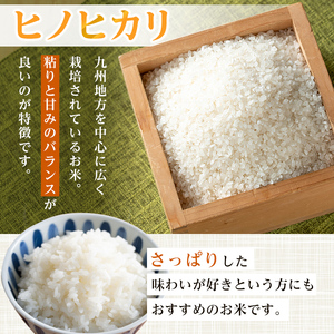 i1079-C 令和7年産 鹿児島県 出水市産 ヒノヒカリ (計20kg・5kg×4袋) 米 20kg ひのひかりヒノヒカリ 鹿児島 20キロ お米 九州 九州産 甘み あっさり もちもち 【いずみキッチン】