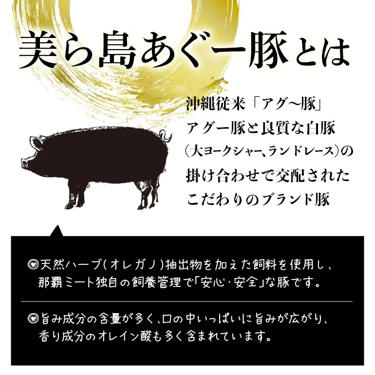 美ら島あぐー ハンバーグ 8個 セット 沖縄県 おかず 惣菜 アグー豚 使用 冷凍 4個×2パック 小分け おいしい 肉 糸満市 国産 肉汁 たっぷり ブランド豚 ジューシー 肉厚 お中元 ギフト プレゼント グルメ おつまみ ディナー オードブル 沖縄県 糸満市 61-20