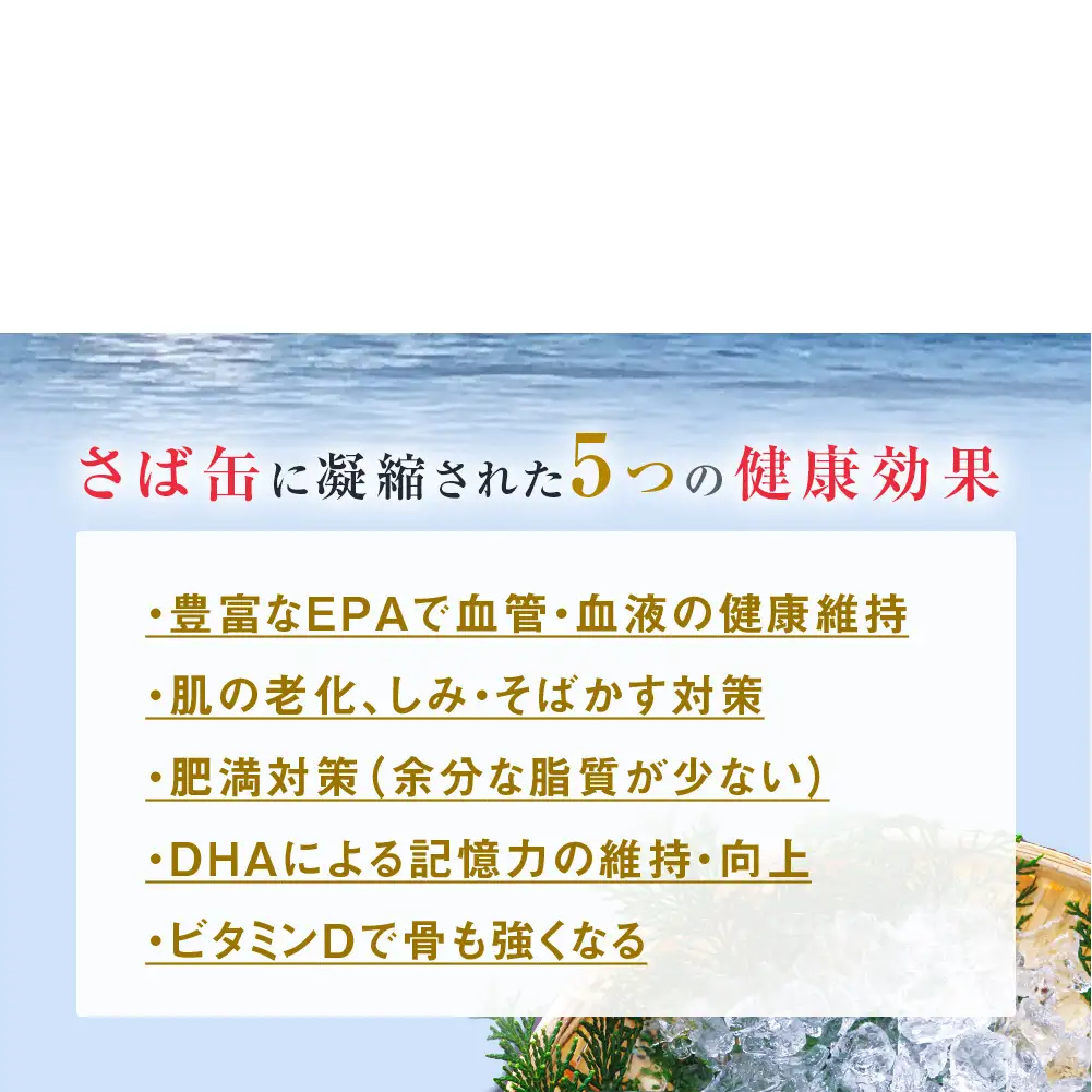 【8月配送】缶詰 さば缶詰 水煮 12缶 サバ缶 鯖缶 さば缶 鯖 国産 常温 長期保管 ローリングストック 備蓄 常温保存 防災 非常食 キャンプ 保存食 長期保存可 缶詰め セット 保存料 無添加 STIみやぎ