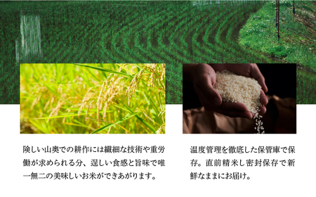令和7年産米【定期便】山仙（いのちの壱）【2kg×3袋（6kg）×6回】【51-U】