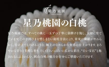 先行受付【星乃白桃】岡山県の桃園からお届けする三つ星の桃 1.2kg (4～5玉)【配送不可地域：離島・北海道・沖縄県】【1614276】