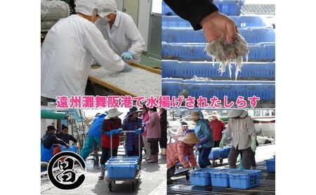 わけあり しらす 遠州灘舞阪港直送 しらす干し 1.2kg 冷凍 シラス 訳アリ 【配送不可:離島】 浜松市