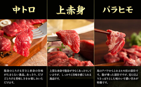 馬肉 熊本特産 フジチクオリジナル ふじ 馬刺し 堪能 セット 道の駅竜北  熊本県 氷川町 肉 馬肉 メン 大トロ 中トロ ヒレ シャトーブリアン ロース ランプ 上赤身 ネギトロ ふじ馬刺し セット 食べ比べ比べ