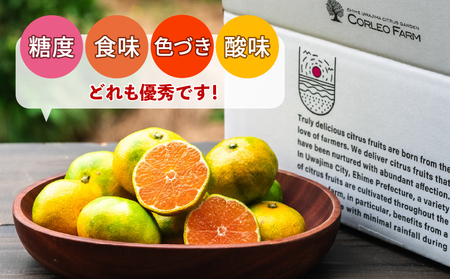 極早生みかん  5kg 日南1号 コルレオファーム 極早生みかん B010-145011