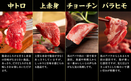 馬肉 フジチクオリジナル 希少部位 と 贅沢な ふじ馬刺し 厳選 セット 道の駅竜北  熊本県 氷川町 肉 馬肉 メン 大トロ 中トロ ヒレ シャトーブリアン ロース ランプ 上赤身 ふじ馬刺し セット 食べ比べ