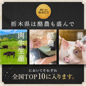 【栃木県共通返礼品】【定期便12回】宮福笑牛(とちぎ和牛) A5 サーロインステーキ　約200gx3枚  | 栃木県 下野市