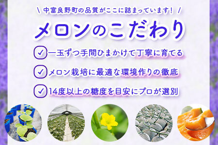 【2026年発送】　なかふらのメロン2玉　（計4kg）【CD-005】