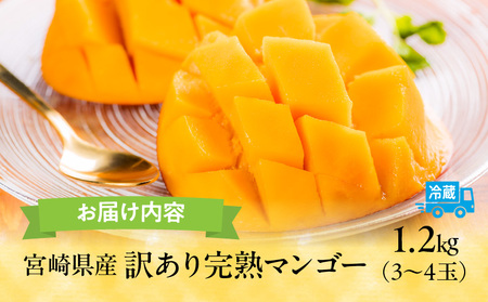 マンゴー 訳あり 宮崎 マンゴー[完熟 1.2kg 3～4玉]