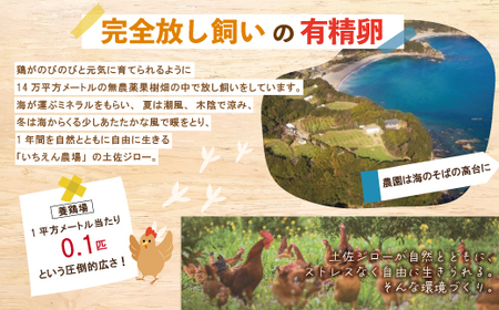 【定期便3回】濃厚でコクのある味わい！のびのび育った土佐ジローの自然卵40個（10個入り×4パック）【合計120個】卵 玉子 たまご 鶏卵 土佐ジロー 自然卵 新鮮 旨味 濃厚 コク 自慢 こだわり卵 高知 高知県 四万十市 26-1015
