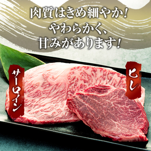 蓼科牛サーロインステーキ200g×1・ヒレステーキ120g×1　　