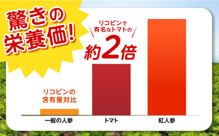 【訳あり】真っ赤な人参「紅天神」10kg AHCU006 人参