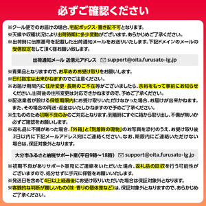 【期間限定】田ノ浦びわ 約1.08kg（270g×4パック） C07014