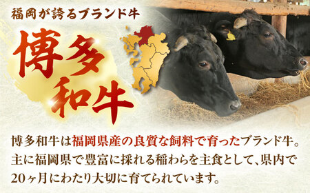 【全3回定期便】 博多和牛ヒレ シャトーブリアン300g(2枚入) 桂川町/株式会社チクゼンヤ [ADBZ010] ステーキ ヒレ 希少 国産