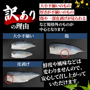 訳あり さば 塩鯖約3kg規格外 サバ 旭市
