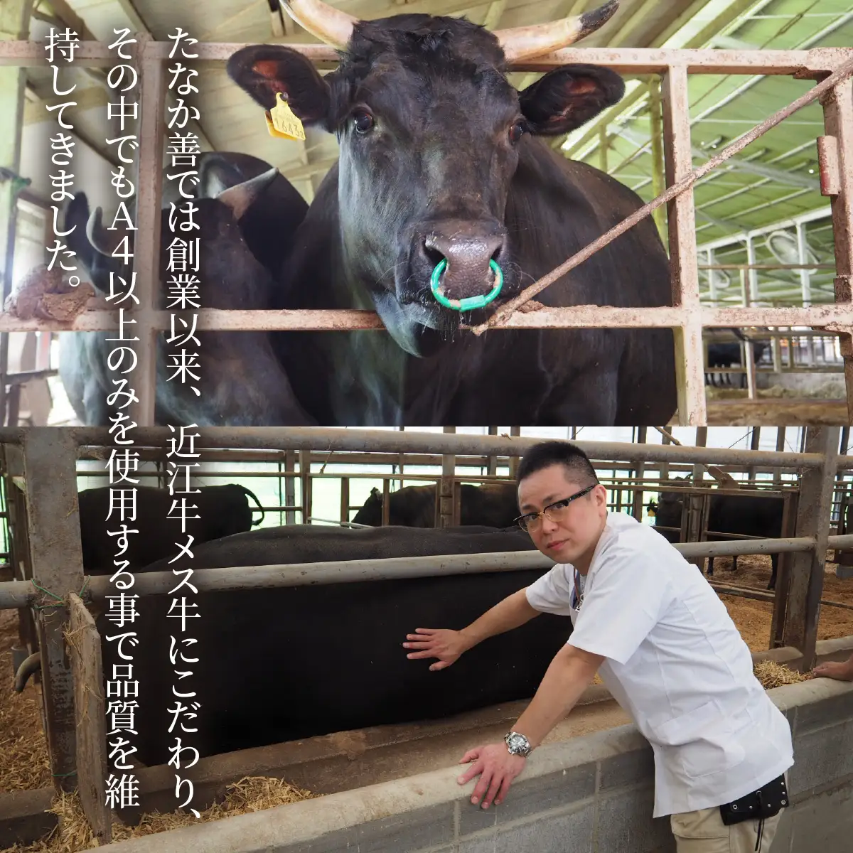近江牛 たなか善 焼肉用 約1.1kg | ブランド 焼き肉 やきにく ギフト 国産 冷蔵 肉 モモ バラ 牛肉 和牛