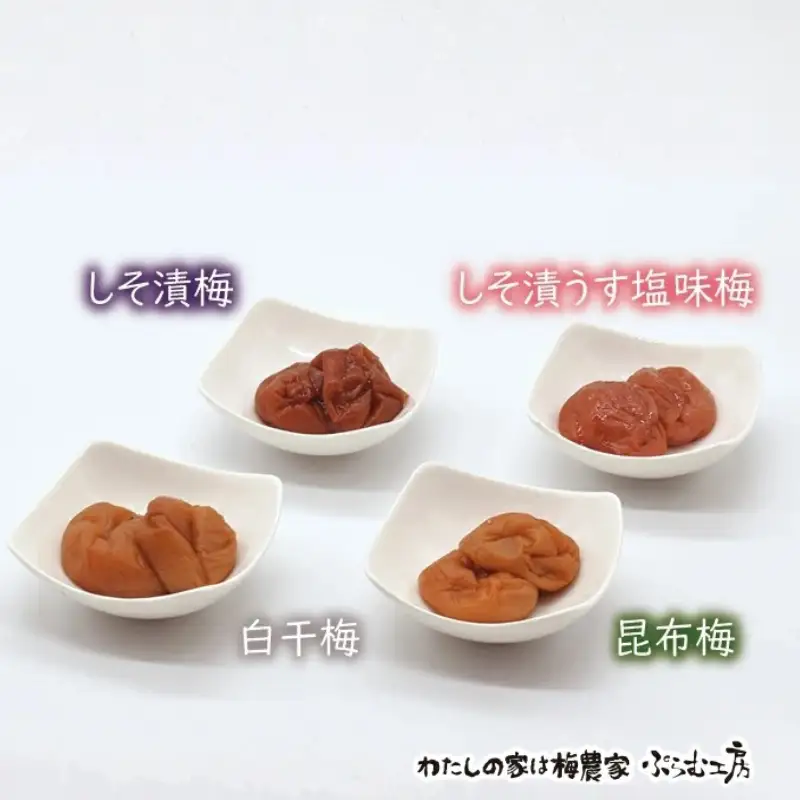 オリジナルおにぎり梅製作体験ペアチケット iwasho009A【iwasho009A】