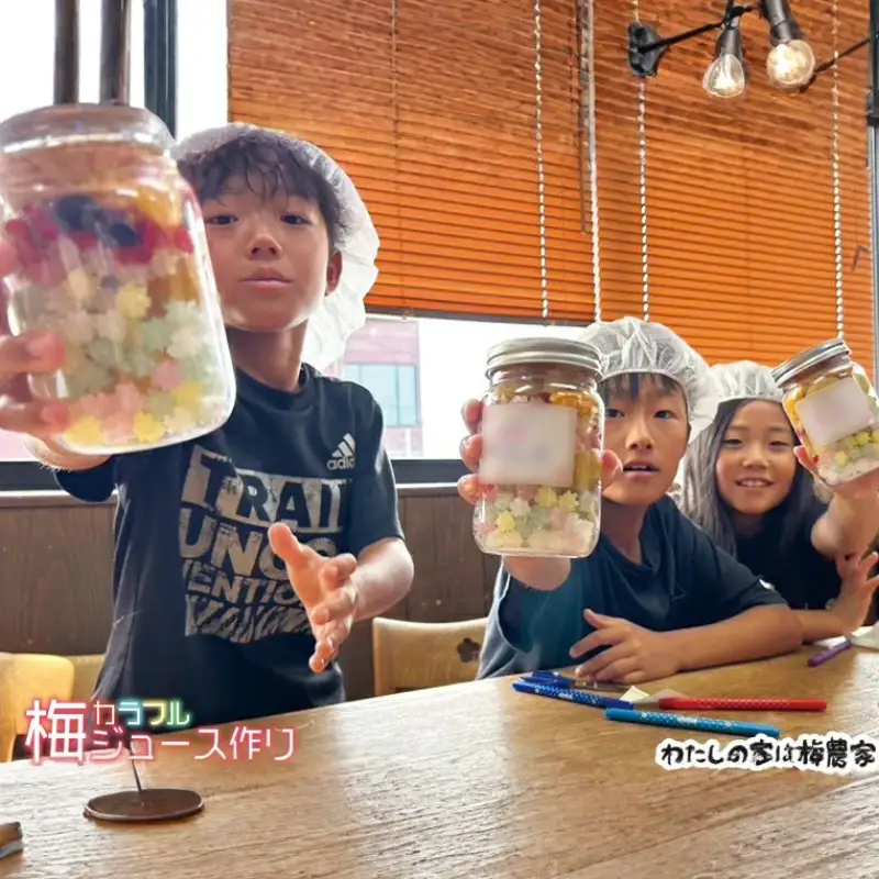 カフェドマンマ食事券1500円分＆カラフル梅ジュースづくり体験チケット  iwasho003A【iwasho003A】
