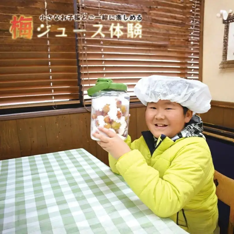 梅ジュース＆梅ジャムづくり体験チケット  iwasho013A【iwasho013A】