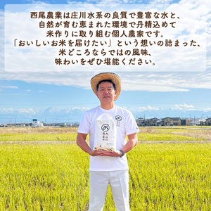 R7年度米 大江の黄金米 コシヒカリ5kg ｜ 射水市 西尾農業 黄金米 射水の美味しいお米 精米 ※離島への配送不可