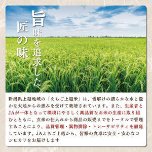 【えちご上越米】令和7年産 新潟県上越産 コシヒカリ 10kg×3回 30kg 定期便 精米 こしひかり JAえちご上越